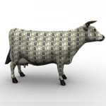 Cashcow