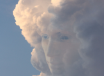 谷歌开放云端图像识别API