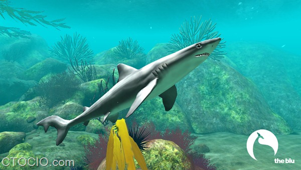 theblu-soupfin-shark