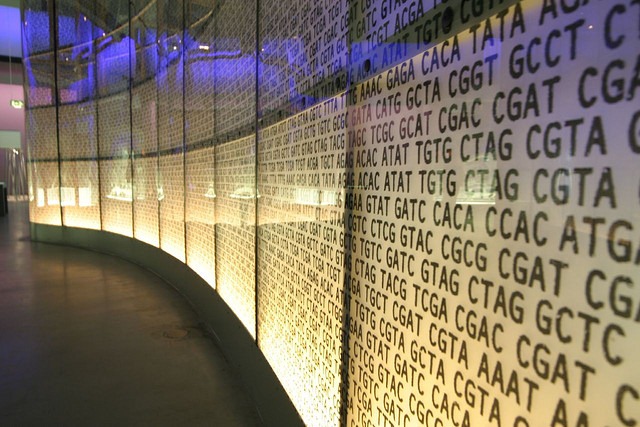 DNA存储