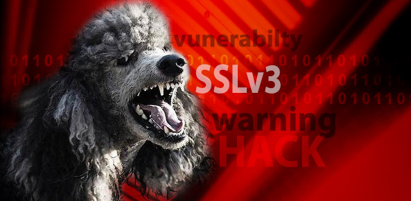 poodle SSL3贵宾犬漏洞